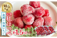 【2026年5月より発送】 《 訳あり 》 冷凍いちご 紅ほっぺ 1.5kg (500g × 3p) 簡易梱包 サイズ 不揃い のため 訳あり 訳アリ フルーツ 果物 苺 いちご イチゴ アイス ヨーグルト 苺 family農園watanabe 子ども 小分け 家庭用 国産 産地直送 岐阜県 本巣市 1万 10000円 [mt1505]