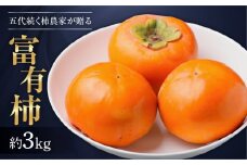 [先行予約／令和7年産]《訳あり》サイズおまかせ 西垣農園の富有柿 約3kg 11月中旬から12月上旬にかけて発送予定 [mt490] ｜わけあり サイズおまかせ かき 富有柿 フルーツ カキ 果物 くだもの 産地直送 岐阜県 本巣市 お取り寄せ 15000円