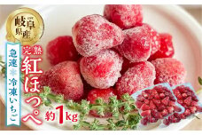 【2026年5月より発送】 《 訳あり 》 冷凍いちご 紅ほっぺ 1kg (500g × 2p) 簡易梱包 サイズ 不揃い のため 訳あり 訳アリ フルーツ 果物 苺 いちご イチゴ アイス ヨーグルト 苺 family農園watanabe 子ども 小分け 家庭用 国産 産地直送 岐阜県 本巣市 8000円 8千円 [mt1560]