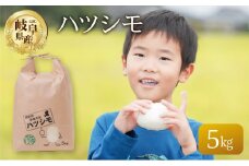 【令和7年産】 ハツシモ 5kg 米 こめ ごはん 白米 岐阜県産 本巣市 お米 精米 おにぎり 弁当 さっぱり 旨味 甘い 和食 寿司 岐阜県産 ヤマダライス 2025年11月～発送