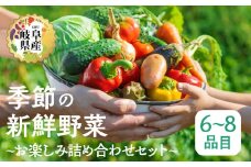 季節の野菜セットA 6～8品目 品目おまかせ BBQ 春 夏 秋 冬 野菜 料理 自宅用 岐阜県産 本巣市 新鮮 やさい 数量限定 冷蔵 道の駅 織部の里 