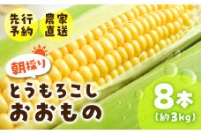 《先行予約》2025年5月～以降発送 とうもろこし 8本 約3kg おおもの オオモノ トウモロコシ 黄色 農園 産地直送 野菜 BBQ バーベキュー 簡易梱包 岐阜県産 本巣市 朝採れ 新鮮 やさい 数量限定 冷蔵 わくわくファーム 令和7年産