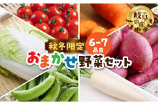 2024年10月～以降発送 秋冬野菜セット 6-～7品目 期間限定 農園 産地直送 野菜 簡易梱包 岐阜県産 本巣市 朝採れ 新鮮 やさい 数量限定 冷蔵 わくわくファーム