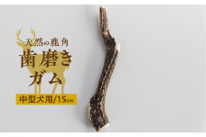 鹿角 犬用 歯磨きガム 15cm 2本 中型犬用 デンタルケア おもちゃ ペット用品 犬 消毒済み 国産 天然 [mt1858]6000円 