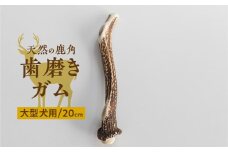 鹿角 犬用 歯磨きガム 20cm 1本 大型犬用 デンタルケア おもちゃ ペット用品 犬 消毒済み 国産 天然 [mt1859] 7000円 