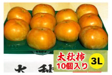 【先行予約】 令和7年産 高橋柿ファームの太秋柿 柿 かき 3Lサイズ 10個入り《10月上旬より発送予定》