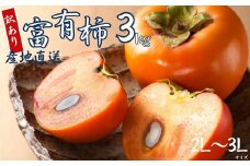 【 訳あり 】令和7年産 富有柿 3kg ( 2L~ 3L ) 10-12個 カキ かき 果物 くだもの フルーツ サイズ不揃い 表面 キズ 色ムラ 家庭用規格 のため 訳アリ わけあり 自宅用 家庭用 岐阜県 本巣市 高橋柿ファーム 先行予約 11月中旬～ 発送予定 8000円