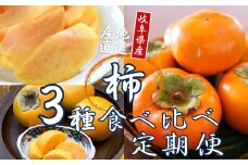 令和7年産 [定期便]  3種食べ比べ 約4.5kg 太秋柿 陽豊柿 富有柿 2L ～ 3Lサイズ 各5-6個 入り《10月上旬より収穫でき次第発送 》かき お楽しみ フルーツ カキ 果物 くだもの 産地直送 先行予約 岐阜県 本巣市 高橋柿ファーム