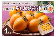 先行予約【令和7年産】大野農園の干し柿用渋柿（4kg) 【滑らかな舌触りの干し柿を手作りで！】サイズ不揃い 訳あり 11月発送予定