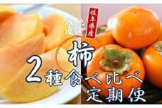 令和7年産 [定期便]  2種食べ比べ 約3kg 太秋柿 陽豊柿 富有柿 2L ～ 3Lサイズ 各5-6個 入り《11月上旬より収穫でき次第発送 》かき お楽しみ フルーツ カキ 果物 くだもの 産地直送 先行予約 岐阜県 本巣市 高橋柿ファーム