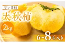 【令和7年産】 先行予約 《早い甘柿》大野農園 太秋柿 約2kg (6～8玉入) 10月上旬～10月中旬発送予定｜ かき カキ 太秋 たいしゅう フルーツ 果物 くだもの 贈答 ギフト 岐阜県 本巣市[mt1685] 10000円