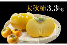 【先行予約】《早い甘柿》大野農園 太秋柿 約3.3kg (9～14玉入) 10月上旬～10月中旬発送予定[mt1684]｜ かき カキ 太秋 たいしゅう フルーツ 果物 くだもの 贈答 ギフト 岐阜県 本巣市 15000円