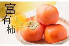 【年内発送】[先行予約／令和6年産][先行予約] 【訳あり】富有柿  L～2L サイズ 約5kg 11月中旬～12月上旬発送予定 加藤果樹園 [mt1692] ｜家庭用 ご自宅用 わけあり ワケアリ かき 富有柿 ふゆうがき フルーツ 令和6年 カキ 果物 くだもの 産地直送 岐阜県 本巣市果物・野菜 年内配送 年内お届け