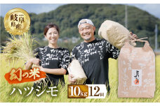 【 12回 定期便 】 令和6年産 ハツシモ 10kg × 12回 12か月 米 こめ ごはん 白米 岐阜県産 本巣市 お米 精米 甘い 和食 寿司 アグリフレンドホリグチ