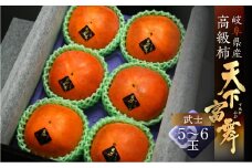[先行予約／令和7年産] 岐阜の高級ブランド柿「天下富舞(てんかふぶ)」武士(もののふ) 5～6玉入り 10月下旬～11月中旬に配送 [mt357] 柿 かき カキ フルーツ 高級 プレミアム ブランド