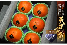 [先行予約／令和6年産] 岐阜の高級ブランド柿「天下富舞(てんかふぶ)」武士(もののふ) 5～6玉入り 10月下旬～11月中旬に配送 [mt357]
