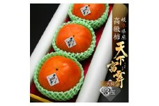 [先行予約／令和7年産] 岐阜の高級ブランド柿「天下富舞(てんかふぶ)」大将(たいしょう) 3玉入り 10月下旬～11月中旬に配送 [mt359]