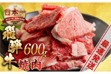 【1月発送】【訳あり】飛騨牛 焼肉 切り落とし 600g | 牛肉 肉 切落し わけあり ワケアリ 不揃い 冷凍 すぐ届く 本巣市 トキノ屋 食品 訳有 焼肉セット 焼肉用  [mt505] 15000円 