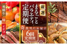 《定期便》本巣市まるごと定期便 奇数月にお届け 全6回 | 飛騨牛 牛肉 肉 ステーキ 和牛 豚肉 にく 惣菜 餃子 ギョウザ うなぎ ウナギ 鰻 蒲焼 フルーツ 果物 イチゴ いちご 苺 柿 かき 富有 柿 富有柿 お楽しみ [mt1714] 岐阜県 本巣市 100000円 10万円