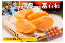 [先行予約／令和7年産]《柿の王様》福井農園の富有柿 ご家庭用 3kg (10～12個入) 2L、3L、4Lサイズ  [11月～12月に発送予定] 有機質の多い独自肥料で栽培、まろやかな味わいの富有柿 [mt238]  