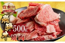 【11月発送】【訳あり】飛騨牛 焼肉 切り落とし 500g | 牛肉 肉 切落し わけあり ワケアリ 不揃い 冷凍 本巣市 トキノ屋 食品 訳有 焼肉セット 焼肉用  [mt505] 13000円