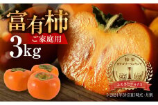 【先行予約／令和7年産】《 訳あり 》 富有柿 ご家庭用 3kg M,L,2Lサイズ 福井農園 [11月～12月に発送予定]  ｜富有柿 ふゆうがき かき フルーツ 柿 かき 規格外 わけあり 不揃い ふぞろい ご自宅用 果物 くだもの フルーツ 本巣市 