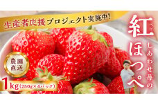  【応援プロジェクト限定品】2025年4月以降～発送 先行予約 自宅用 いちご 紅ほっぺ 1kg (250g × 4p) [しあわせ苺] サイズ バラバラ 訳あり 訳アリ 農園直送 フルーツ 果物 苺 イチゴ family農園watanabe 子ども 大人 人気 小分け 簡易梱包 家庭用 産地直送 岐阜 期間限定 いちご
