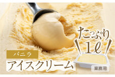 [バニラ味] 業務用アイス1リットル 大容量 アイスクリーム 訳あり 訳アリ 北海道産 純 生クリーム 牛乳 国産 岐阜県 本巣市 卵 無添加 甘い スイーツ デザート  たっぷり コーヒー メロン いちご フロート 自宅用