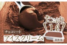 [チョコレート味] 業務用アイス1リットル 大容量 アイスクリーム 大容量 アイスクリーム 訳あり 訳アリ 北海道産 純 生クリーム 牛乳 国産 岐阜県 本巣市 卵 無添加 甘い スイーツ デザート たっぷり コーヒー メロン いちご フロート 自宅用