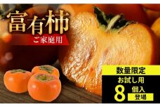 【先行予約／令和7年産】《 訳あり 》 富有柿 ご家庭用 お試し8個入 S-Mサイズ 福井農園 [11月～12月に発送予定]  ｜富有柿 ふゆうがき かき フルーツ 柿 かき 規格外 わけあり 不揃い ふぞろい ご自宅用 果物 くだもの フルーツ 本巣市 