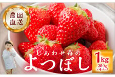 自宅用 いちご よつぼし 1kg (250g × 4p) [しあわせ苺] サイズ バラバラ 訳あり 訳アリ 農園直送 フルーツ 果物 苺 イチゴ family農園watanabe 子ども 大人 人気 小分け 簡易梱包 家庭用 産地直送 岐阜 期間限定 いちご