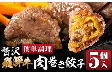 贅沢！飛騨牛 肉巻餃子 5個 餃子 ぎょうざ ギョウザ 飛騨牛 a5 赤身 もも モモ 肉 スライス 和牛 黒毛和牛 国産 冷凍 総菜 ごはん 晩酌 のお供に お取り寄せ オリジナル 冷凍 [mt1826] 15000円