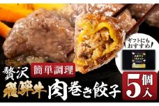 贅沢！飛騨牛 肉巻餃子 5個 餃子 ぎょうざ ギョウザ 飛騨牛 a5 赤身 もも モモ 肉 スライス 和牛 黒毛和牛 国産 冷凍 総菜 ごはん 晩酌 のお供に お取り寄せ オリジナル 冷凍 [mt1826] 15000円