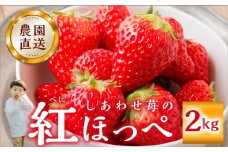 【2026年1月以降発送】 自宅用 いちご 紅ほっぺ 2kg (1kg × 2セット) [しあわせ苺] サイズ バラバラ 訳あり 訳アリ 農園直送 フルーツ 果物 苺 イチゴ 子ども 大人 人気 小分け 簡易梱包 家庭用 産地直送 先行予約 岐阜 期間限定 [mt1799_25]