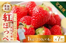 【プレミアム 定期便 全7回】自宅用 いちご 紅ほっぺ 1kg (250g × 4p ）7か月 7回｜フルーツ 果物 スイーツ 苺 いちご イチゴ しあわせ苺 サイズ バラバラ 訳あり 訳アリ 含む 農園直送 送料無料 人気 苺 国産 岐阜県 本巣市 2026年 先行予約 [mt1800_25]