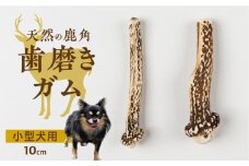 鹿角 犬用 歯磨きガム 10cm 2本 小型犬用 デンタルケア おもちゃ ペット用品 犬 消毒済み 国産 天然 [mt1805] 7000円