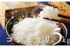 【9月期間限定CP実施中】令和7年産 こしひかり 5kg 米 コシヒカリ こめ ごはん 白米 岐阜県 本巣市 お米 精米 甘い 和食 寿司 本巣市 17000円 くどみフルーツ農園

