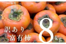 【2025年11下旬～発送】令和7年産 訳あり 富有柿 8kg サイズ おまかせ 柿 かき フルーツ かき ふゆうがき 果物 わけあり 訳アリ 不揃い 規格外 傷 ふぞろい B級品 フルーツ 本巣市 10000円 1万円 11月 12月 発送 くどみフルーツ農園 岐阜県