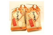 【C-21】郡上産こしひかり　令和6年産　10kg×2回お届け