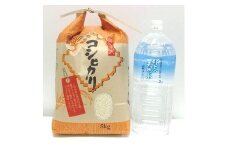 【A-5】こしひかりセットA　令和6年産 食品  米 雑穀  白米 15000円