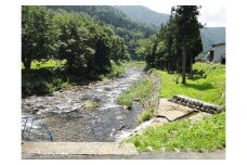 岐阜県郡上市 石徹白漁協 鮎・雑魚共通年間遊漁証（2026シーズン）アユ釣り 渓流釣り 引換券 年券 チケット 20000円