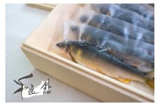 【D-16】和良鮎（冷凍 800g） 食品  魚介類 水産加工品  その他水産物  アユ 50000円