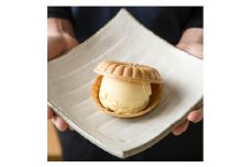 【A-12】こととい最中アイスセット 　もなか スイーツ お菓子  アイスクリーム シャーベット  その他 15000円