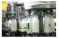 濃厚なひるがの牛乳は、低温殺菌処理のみを施されており、自然なおいしさです。