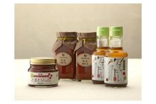 【A-46】明宝レディースセット【高島屋選定品】