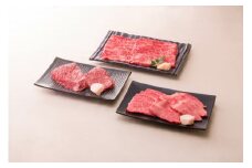 【D-21】飛騨牛詰合せ【高島屋選定品】 食品  精肉 肉加工品  牛肉  肩ロース 20000円
