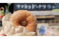 【A-123】ドーナツセット12個入り　卵不使用・乳製品不使用 スイーツ お菓子  クッキー 焼き菓子  ドーナツ 10000円