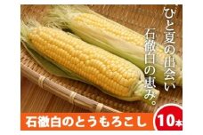 先行予約《数量限定・期間限定》いとしろトウモロコシ 10本(5本入×2箱) / (お届け日 2025.8/19~8/25)とうもろこし 大粒 甘い おいしい ほしつぶ コーン 野菜 やさい 旬 夏 BBQ 焼肉 10000円 1万円 [G0002-25b]  5本入 2箱 とうもろこし 大粒 甘い おいしい ほしつぶ コーン 野菜 やさい  旬 夏 BBQ 焼肉 10000円 1万円