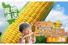 先行予約《数量限定・期間限定》いとしろトウモロコシ 10本(5本入×2箱) / (お届け日 2025.8/19~8/25)とうもろこし 大粒 甘い おいしい ほしつぶ コーン 野菜 やさい 旬 夏 BBQ 焼肉 10000円 1万円 [G0002-25b]  5本入 2箱 とうもろこし 大粒 甘い おいしい ほしつぶ コーン 野菜 やさい  旬 夏 BBQ 焼肉 10000円 1万円