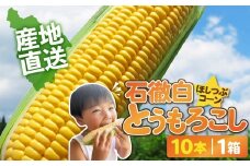 先行予約《数量限定・期間限定》いとしろトウモロコシ 10本入 1箱 / (お届け日 2025.8/5~8/10)とうもろこし 大粒 甘い おいしい ほしつぶ コーン 野菜 やさい 旬 夏 BBQ 焼肉 10000円 1万円 [G0001-25a]  5本入 2箱 とうもろこし 大粒 甘い おいしい ほしつぶ コーン 野菜 やさい  旬 夏 BBQ 焼肉 10000円 1万円